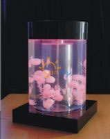 Table top colorful Jellyfish tank. fish tank